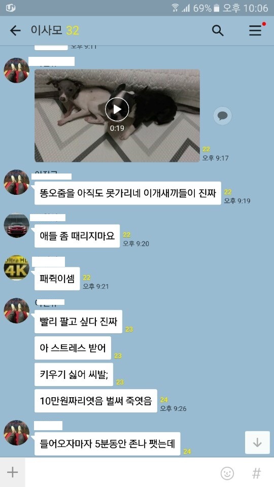 10만원 짜리였으면 강아지였으면 패죽였을거라는 동물학대범 | 인스티즈