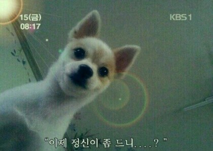 복 이미지