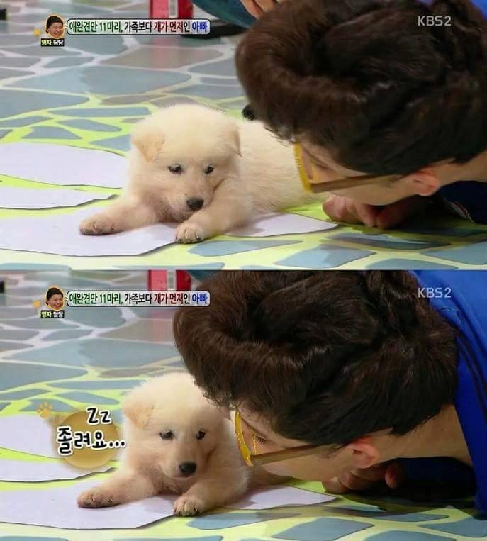 예능 나와서 대놓고 잠.. | 인스티즈