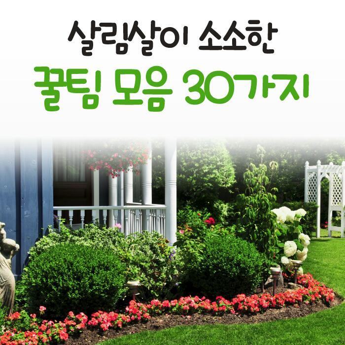 살림살이 이미지