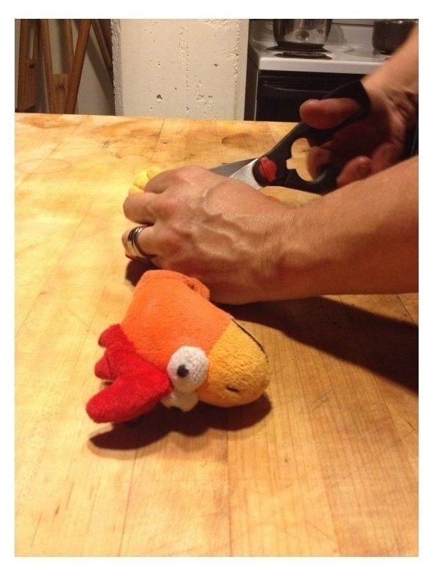 우리집 멍멍이의 닭장난감 수술기.jpg | 인스티즈