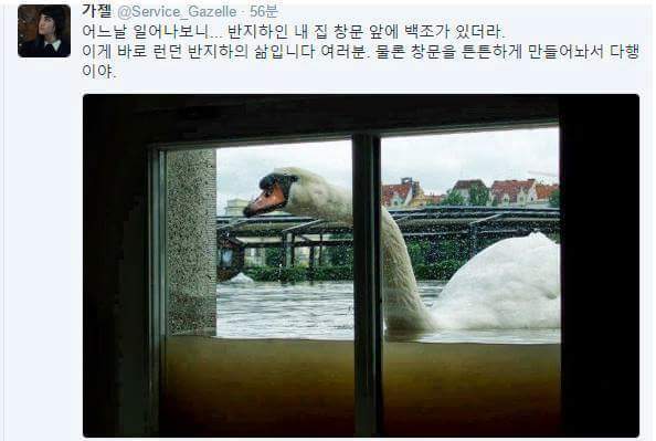 런던 반지하의 삶 | 인스티즈