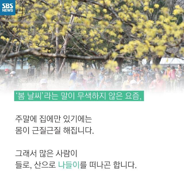 시골인심을 강요하는 사람들때문에 피해보는 농부들 | 인스티즈