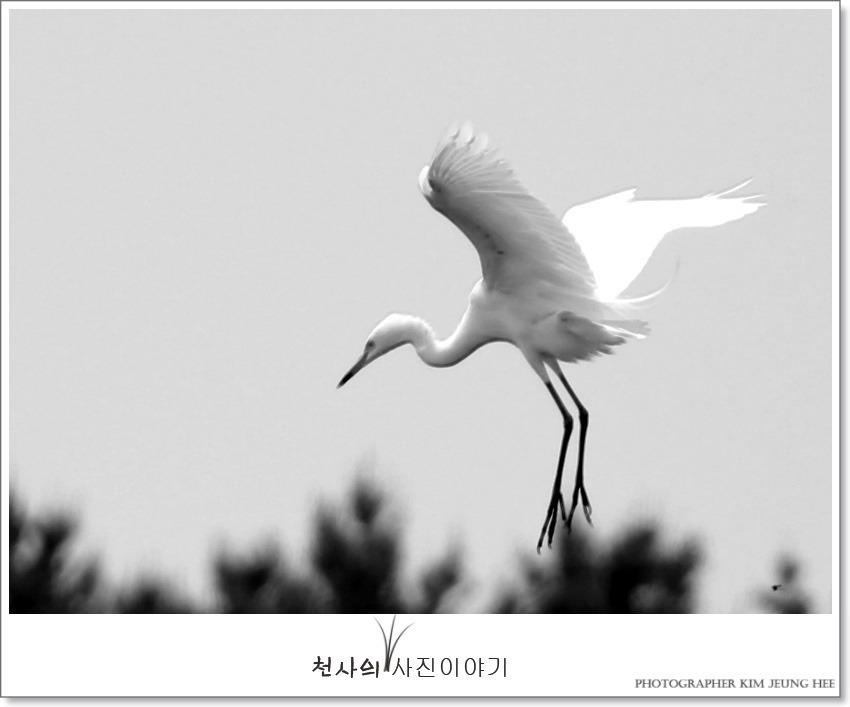 도순 이미지