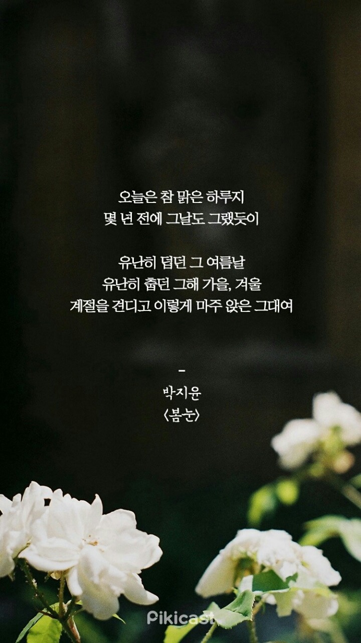 이쁜여우 이미지