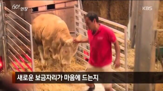 감사함을 아는 동물 | 인스티즈