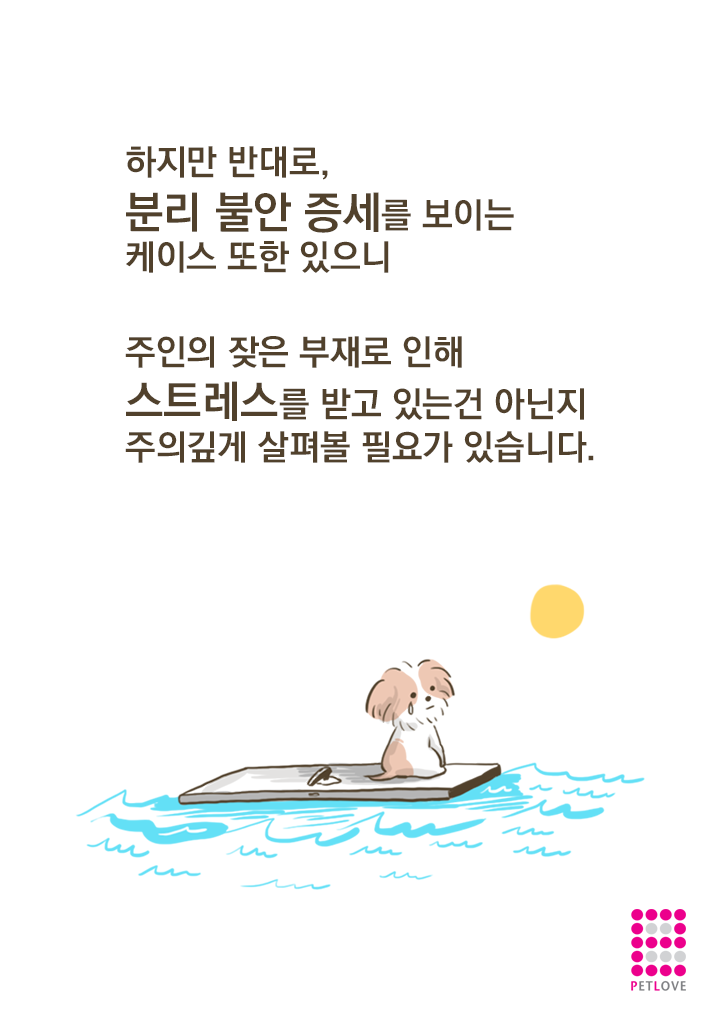 강아지들이 문앞에 앉아있는 이유? (만화) | 인스티즈