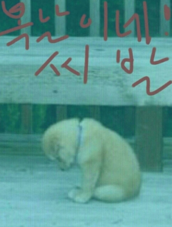 복 이미지