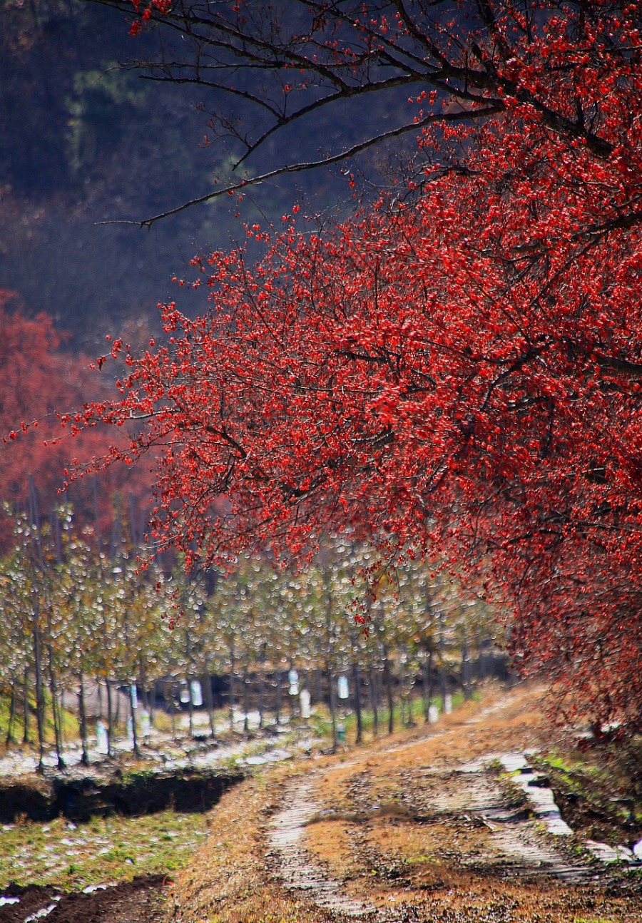(주)의성 이미지
