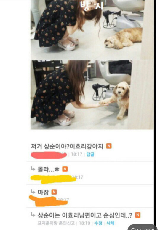 저거 상순이야?이효리강아지 | 인스티즈