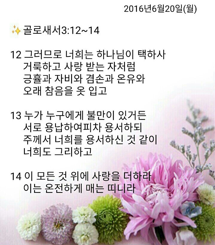 백향 이미지