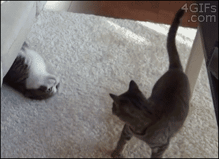 오빠 부모님 나가셨어.gif | 인스티즈