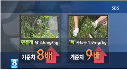변약초 이미지