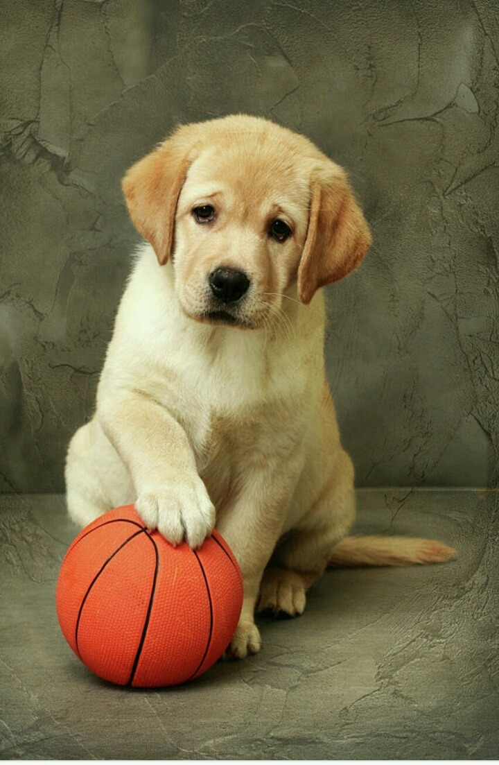 공과 뗄레야 뗄수없는 수.jpg | 인스티즈