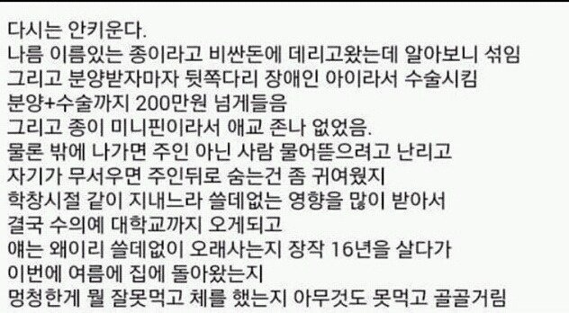 다시는 강아지 안키운다 | 인스티즈