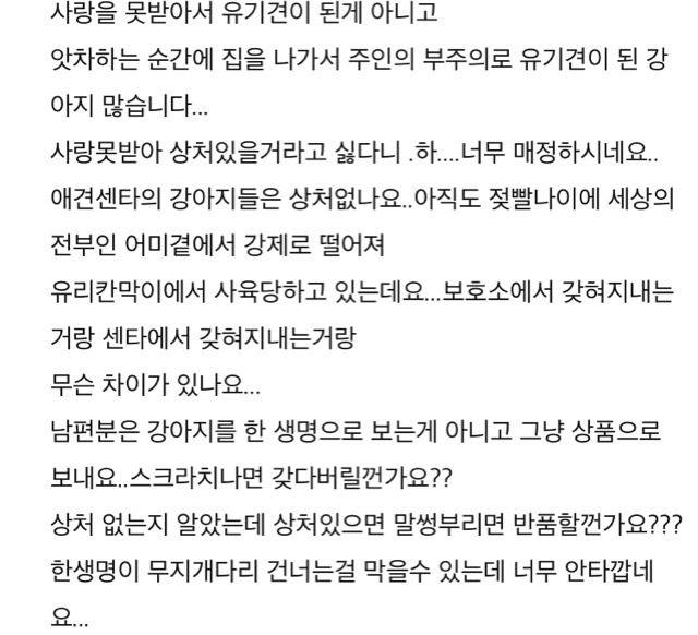 유기견 입양 권유 오지랖이다vs그럴 수 있다 | 인스티즈