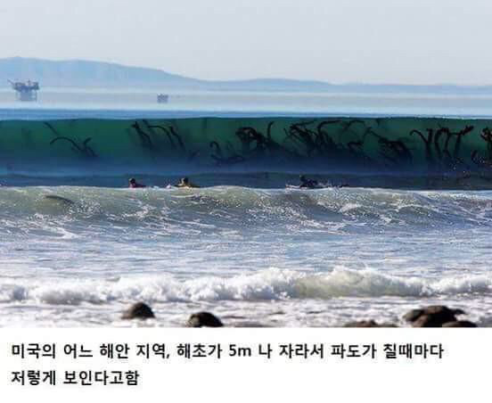 [사진주의] 미국의 무서운 파도 | 인스티즈