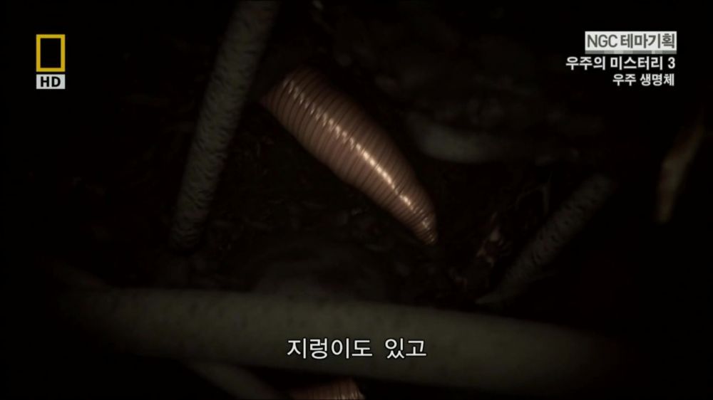 과학자들의 외계 생명체를 찾기위한 노력들.jpg | 인스티즈