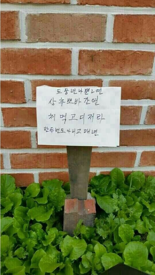 할머니의 경고장 | 인스티즈