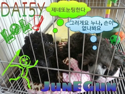 별에별 이미지