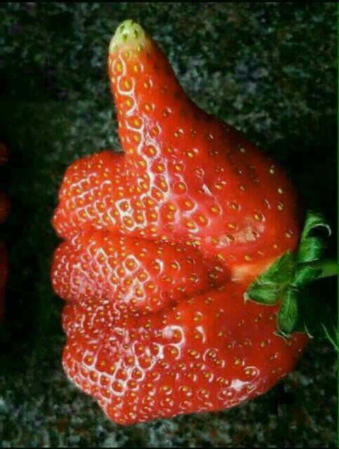 동반자 이미지
