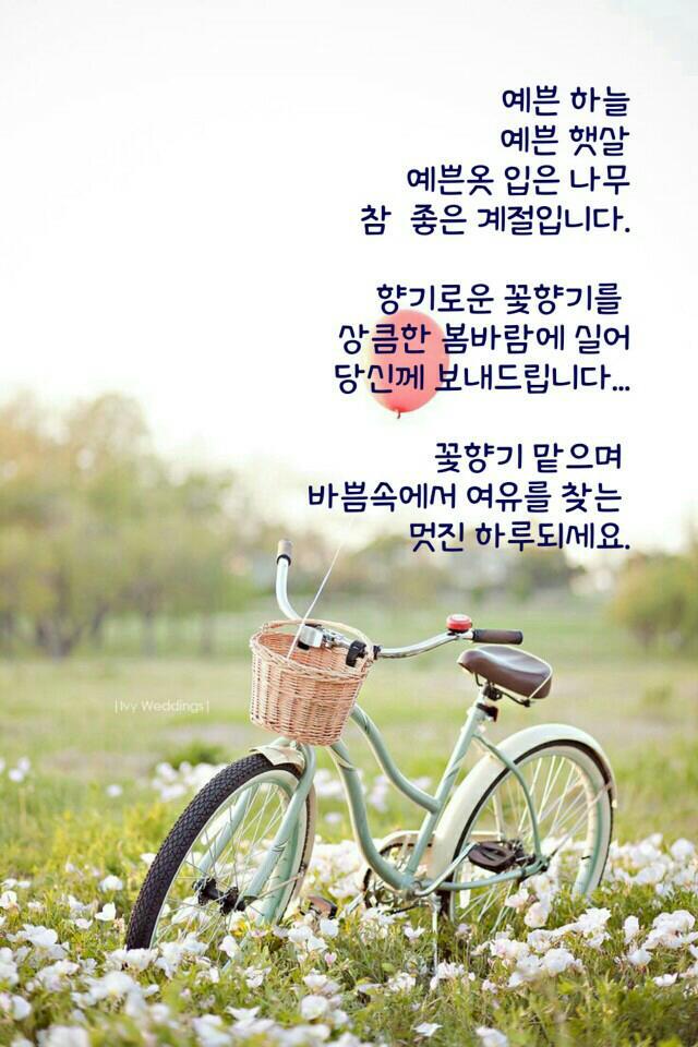 오잉 이미지