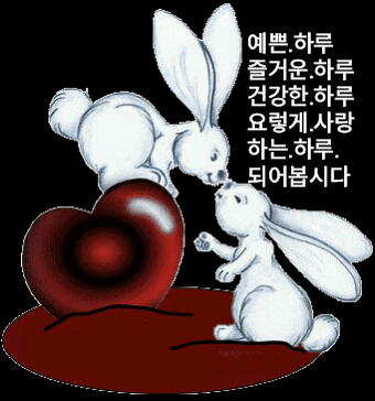 부모님 카카오톡.gif | 인스티즈