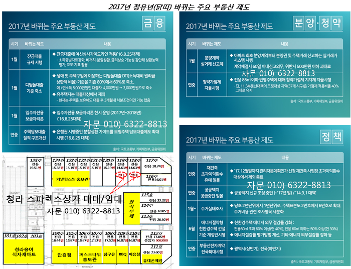 스파렉스 이미지
