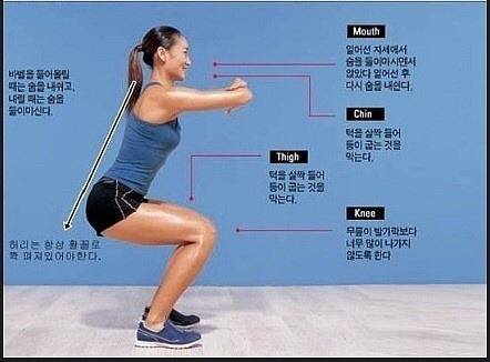 스쿼트 자세 | 인스티즈