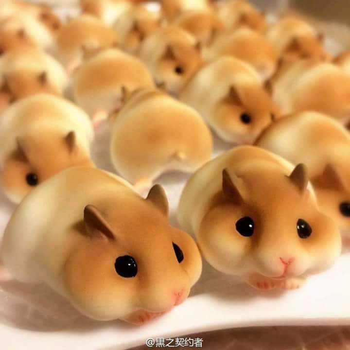 이** 이미지