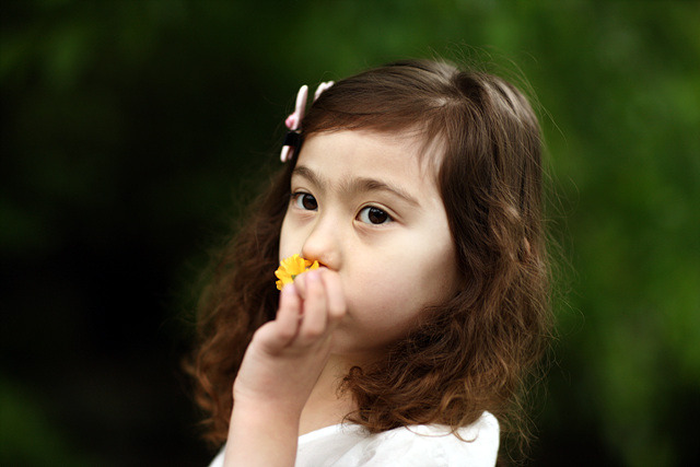 숲속의작은스튜디오 이미지
