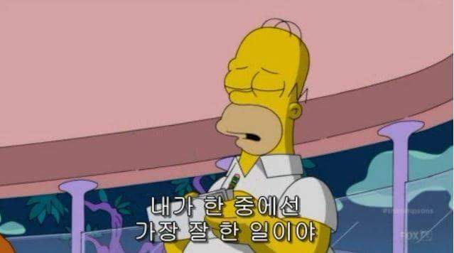 먹이되는 심슨 | 인스티즈