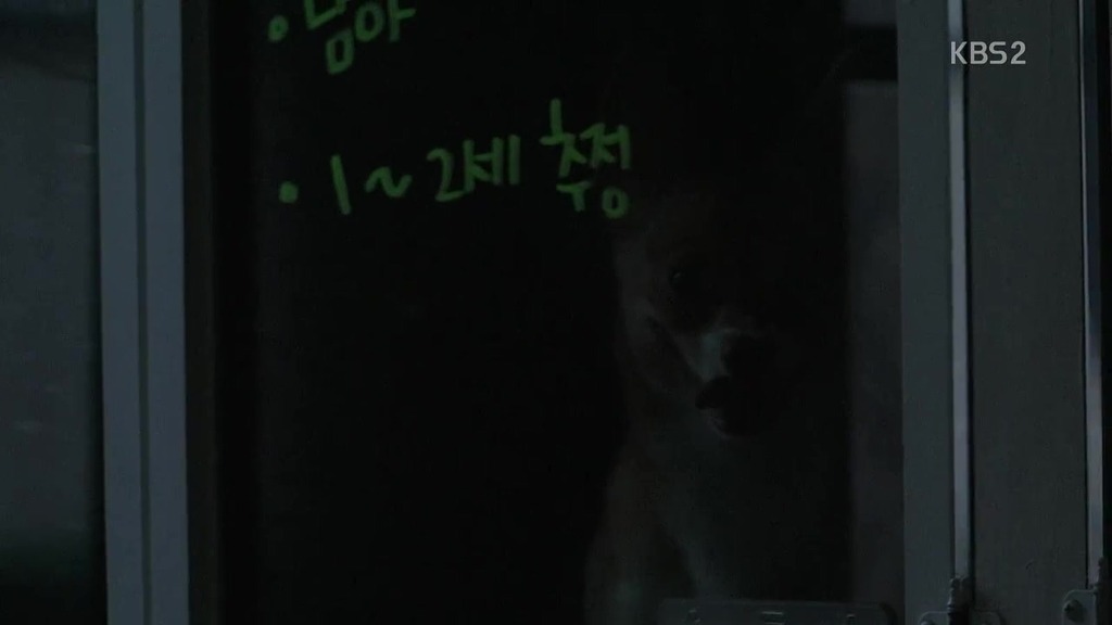 다큐 3일 보면서 안타까웠던 강아지..ㅠㅠ | 인스티즈