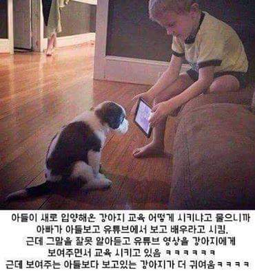 입양온 강아지를 교육하는 아이.jpg | 인스티즈