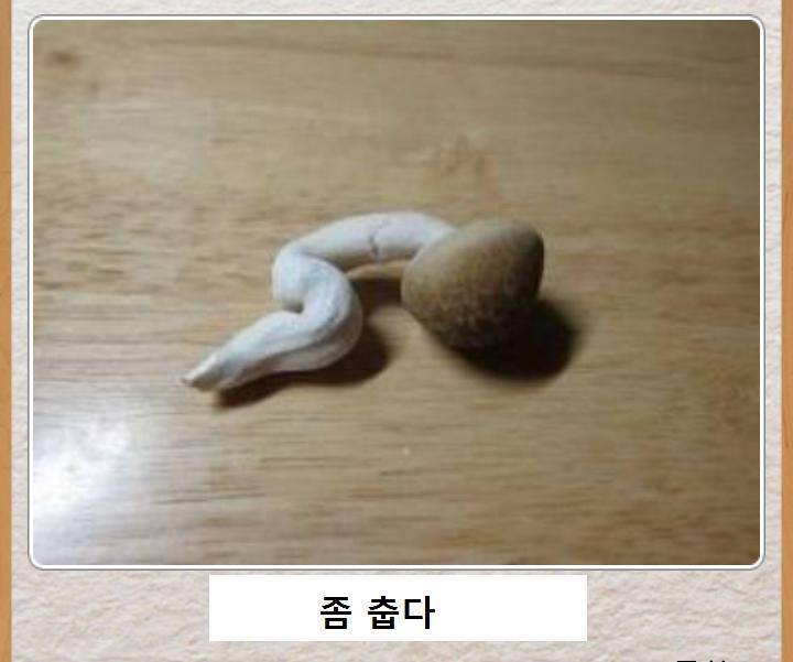 다세울 이미지