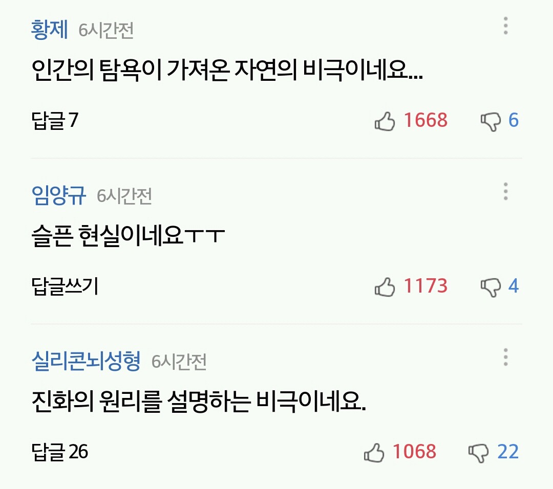 코끼리 밀렵의 비극..상아 없이 태어나는 코끼리 급증 | 인스티즈