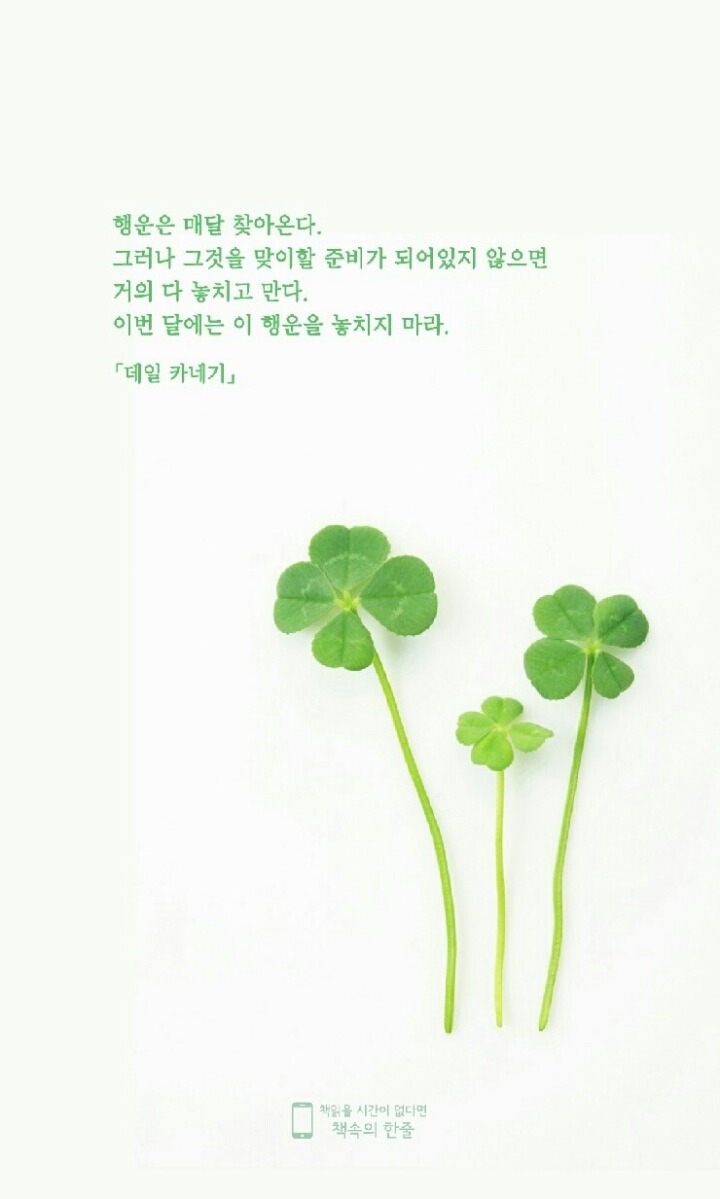 행운 이미지