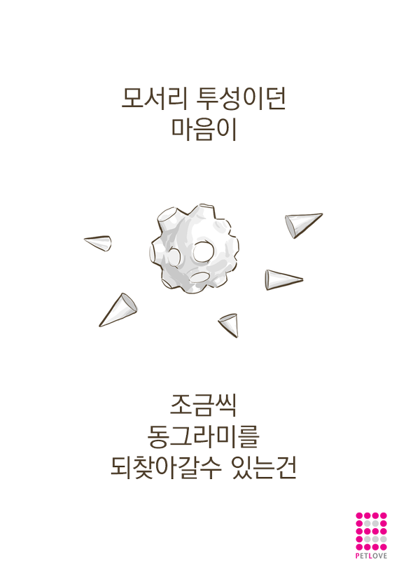 우리가 반려동물을 키우는 이유...?.jpg | 인스티즈