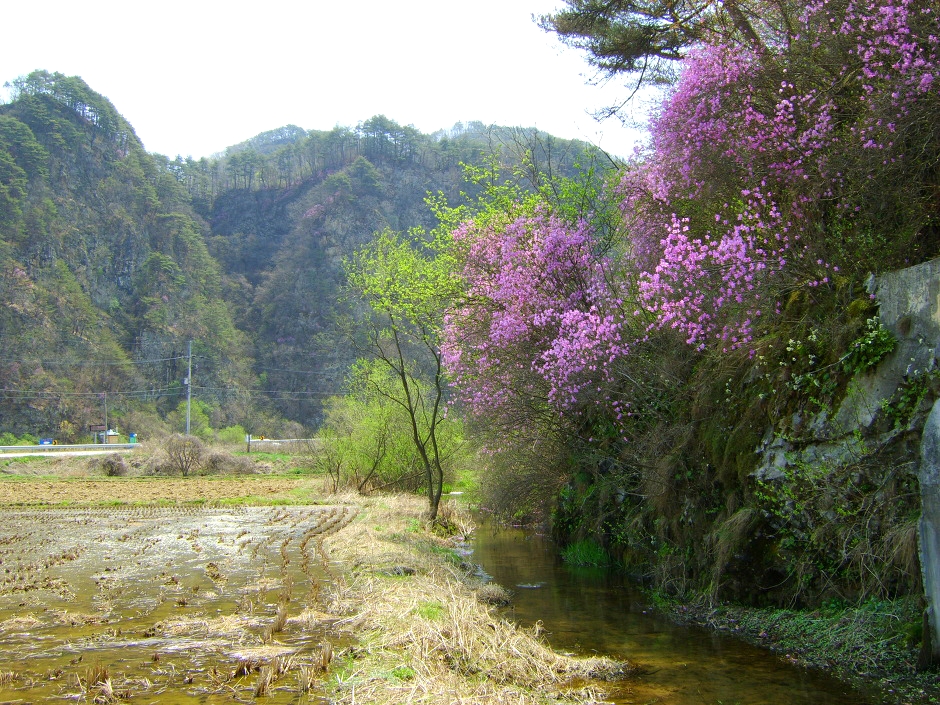 해동선구점 이미지