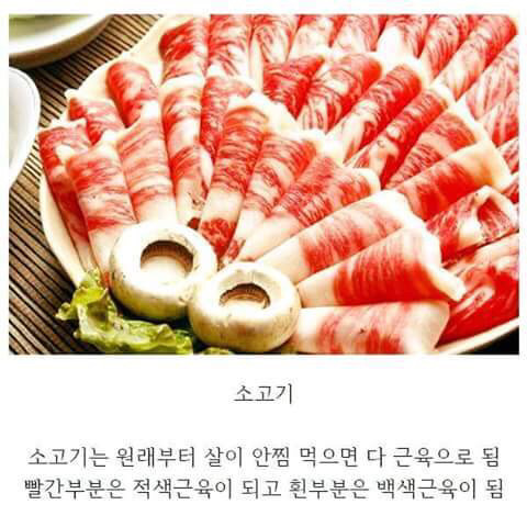 다이어트할때 많이모르는 의외의사실들 .jpg | 인스티즈