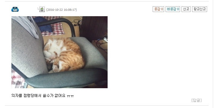 어느 사이트에서 개최된 천하 제일 의자 대회 | 인스티즈