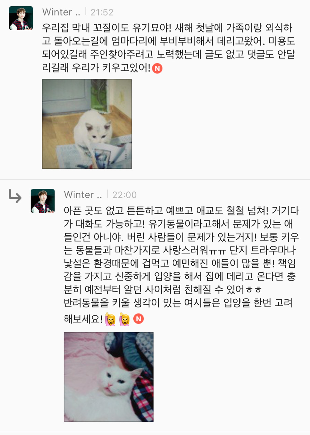 유기견 입양은 좀 꺼려져; 문제가 있어서 버려진 애들 아냐? | 인스티즈