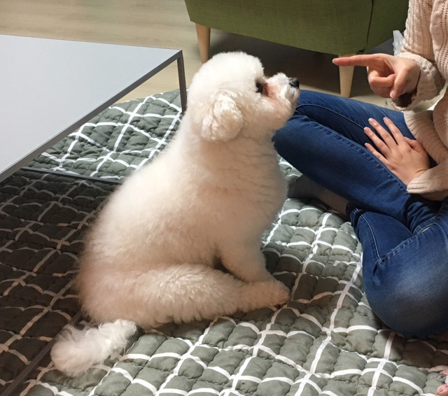 말랑 이미지