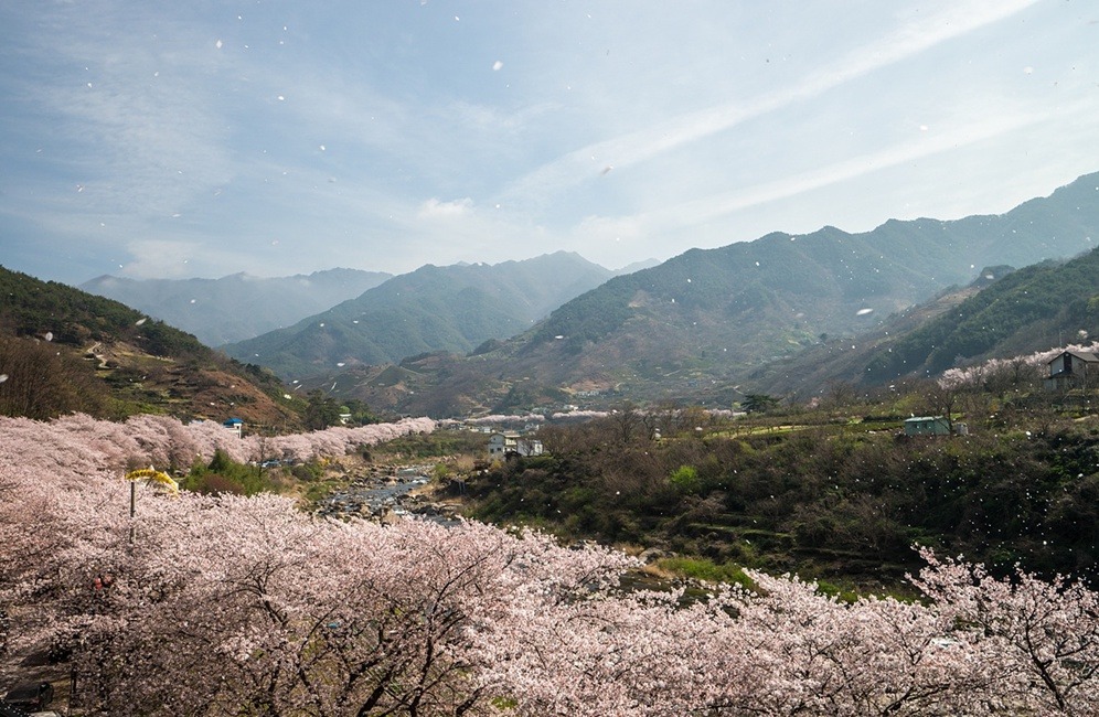 바람의속삭임 이미지