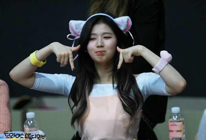 팬사 이미지