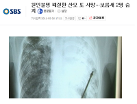 몇 년전 수많은 사람의 목숨을 앗아간 연쇄살인 | 인스티즈