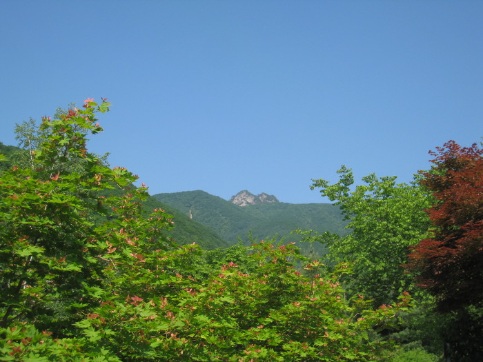 가리산막국수 이미지