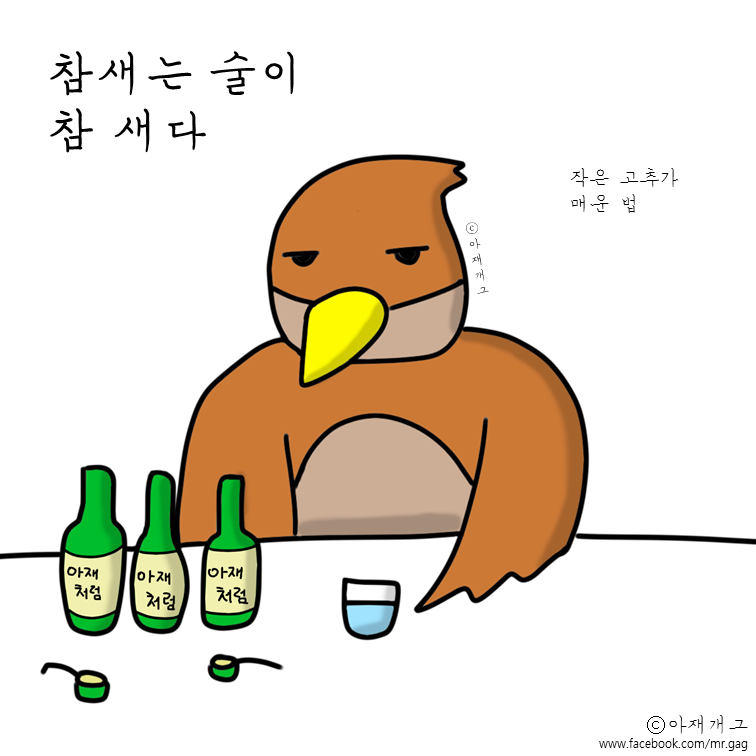 새들이 술마실때 ㅋㅋㅋㅋㅋ | 인스티즈
