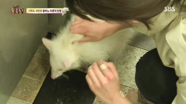 힘들어하는 여성 동물 사육사..jpg | 인스티즈