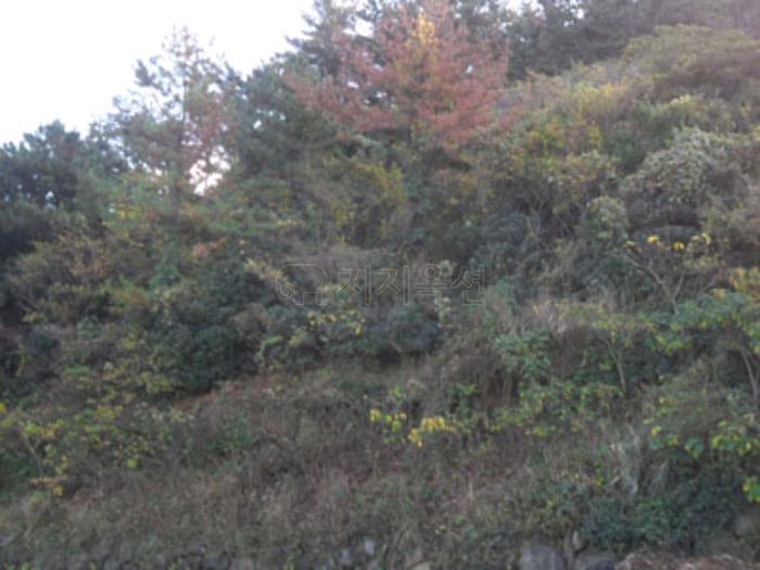 김녕중학교 이미지
